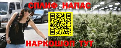 прущие грибы Бузулук