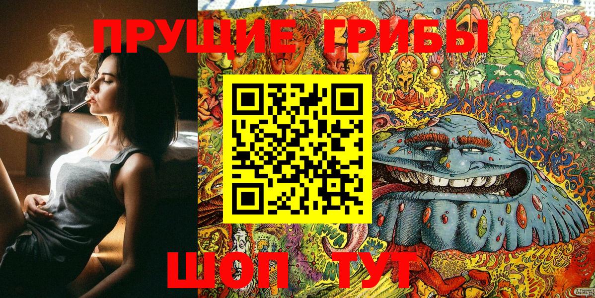закладка  Галлюциногенные грибы Magic Shrooms  Вход с VPN  Среднеуральск 